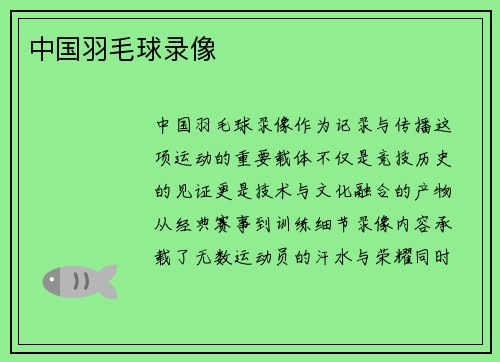 中国羽毛球录像